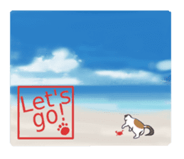 Summer, bear and cats sticker #6607352