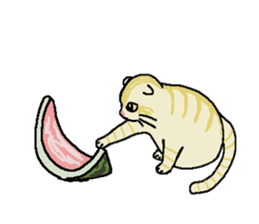 Summer, bear and cats sticker #6607357