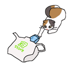 Summer, bear and cats sticker #6607358