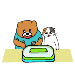 Summer, bear and cats sticker #6607359