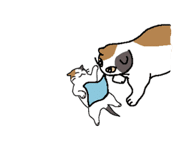 Summer, bear and cats sticker #6607360