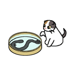 Summer, bear and cats sticker #6607361