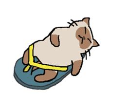 Summer, bear and cats sticker #6607363