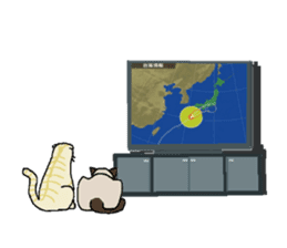 Summer, bear and cats sticker #6607364