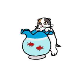 Summer, bear and cats sticker #6607366