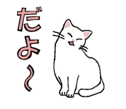 Summer, bear and cats sticker #6607368