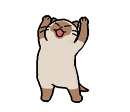 Summer, bear and cats sticker #6607370