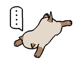 Summer, bear and cats sticker #6607371