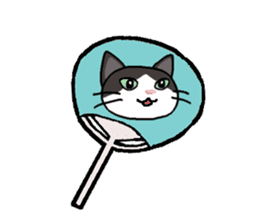 Summer, bear and cats sticker #6607372