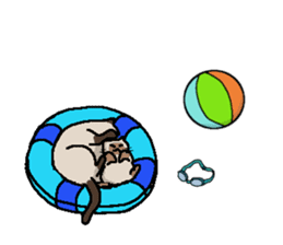 Summer, bear and cats sticker #6607373