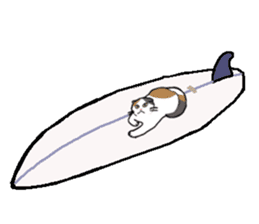 Summer, bear and cats sticker #6607374