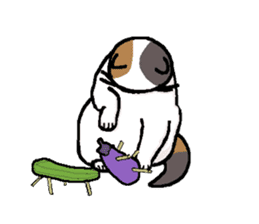 Summer, bear and cats sticker #6607376