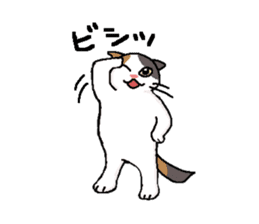 Summer, bear and cats sticker #6607379