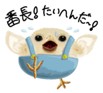 Hiyokobanchou sticker #6607786