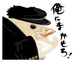 Hiyokobanchou sticker #6607803