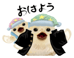 Hiyokobanchou sticker #6607808