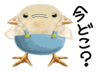 Hiyokobanchou sticker #6607813