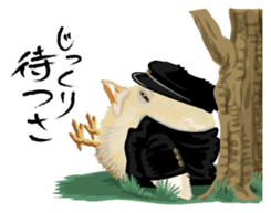 Hiyokobanchou sticker #6607817