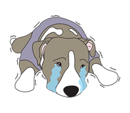 Steve the Dog sticker #6613563