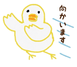 Young bird daily conversation sticker #6614117