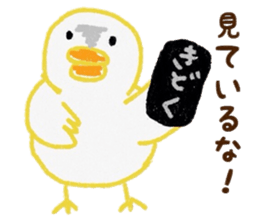 Young bird daily conversation sticker #6614130