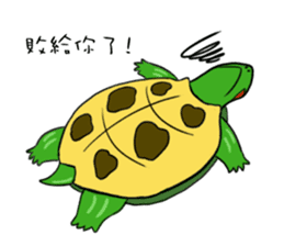 Hey~Turtle turtle! sticker #6614788