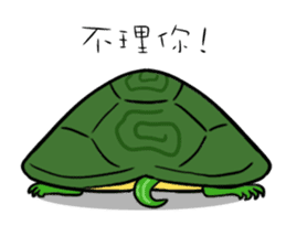 Hey~Turtle turtle! sticker #6614791