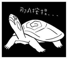 Hey~Turtle turtle! sticker #6614799