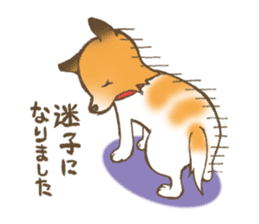 Relax dog sticker #6614851