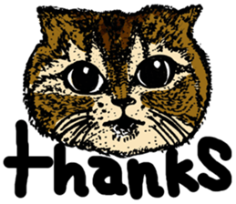 lovely cat with friends sticker #6617061