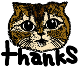 lovely cat with friends sticker #6617061