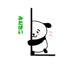 Panda Machiko from Nagasaki sticker #6617784