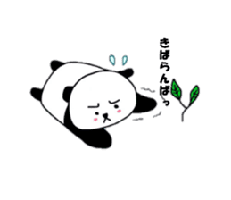Panda Machiko from Nagasaki sticker #6617812