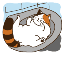 Mi-ke, the Calico Cat sticker #6621138