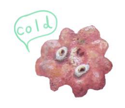 vividly sticker sticker #6621483