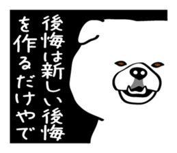 Busakawa in Kansai 2 sticker #6623479