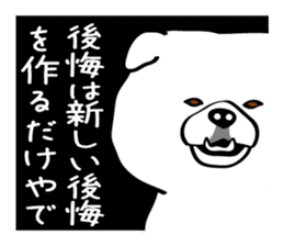 Busakawa in Kansai 2 sticker #6623479