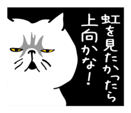 Busakawa in Kansai 2 sticker #6623484