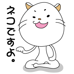 Daily life of some cats