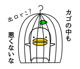 odd bird sticker #6624247