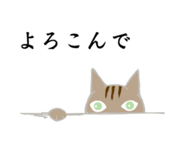 HOUSE CATS sticker #6626619