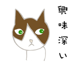 HOUSE CATS sticker #6626629