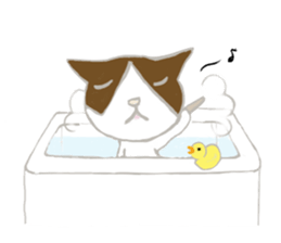 HOUSE CATS sticker #6626647