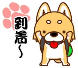 It is a Japanese midget Shiba around sticker #6627571