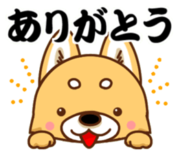 It is a Japanese midget Shiba around sticker #6627576