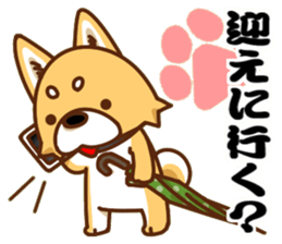 It is a Japanese midget Shiba around sticker #6627587