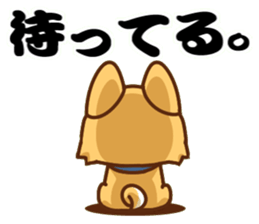 It is a Japanese midget Shiba around sticker #6627588