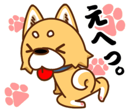 It is a Japanese midget Shiba around sticker #6627595
