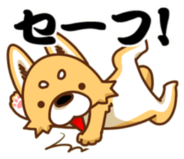 It is a Japanese midget Shiba around sticker #6627600