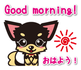 Chihuahuas English & Japanese sticker sticker #6628850